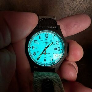 Timex Expedition Brown And Tan